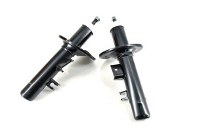 Pair front left and right shock absorber