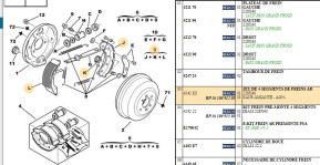 Set of 4 rear brake shoes