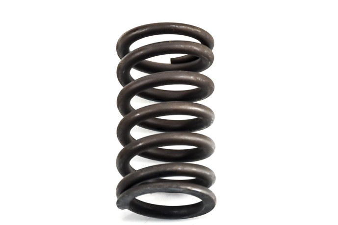 Valve spring