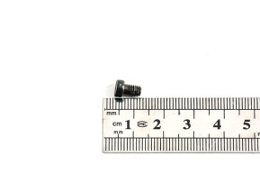 Carb gas throttle fixing screw 42dcnf2