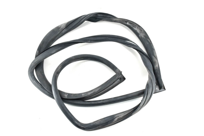 Windshield gasket