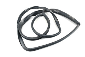 Windshield gasket