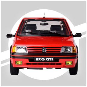 1/8 205 gti 1.9 red to build up