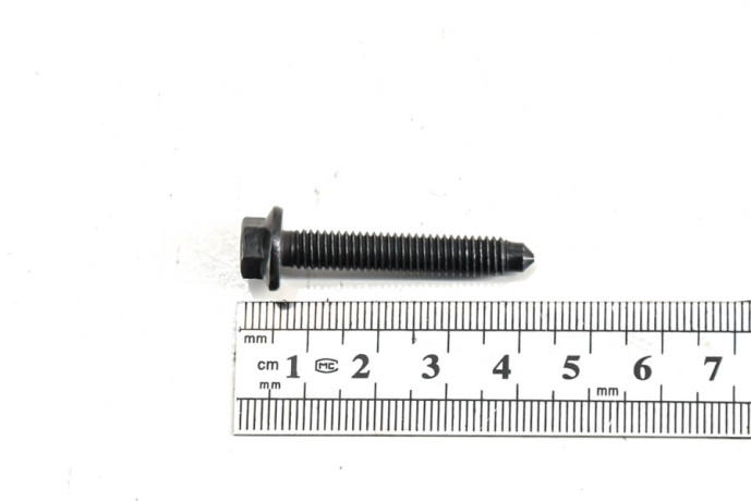 Flange screw diameter 6x100-36