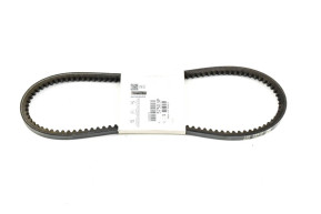 Alternator belt