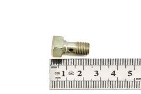 Fuel connection screw