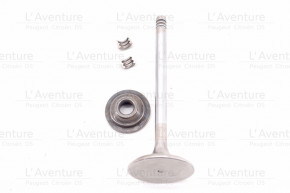 Intake valve