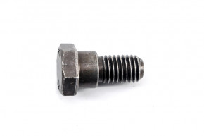 Seat belt screws