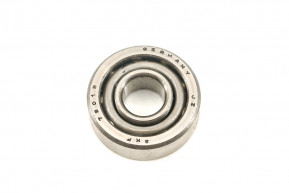 Alternator bearing