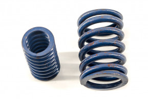 Set of 2 valve springs