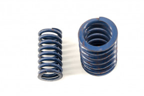 Set of 2 valve springs