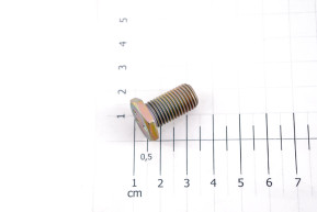 Belt screws