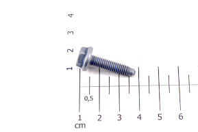 Flange screws