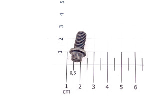 Flange screw