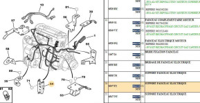 Wiring harness support