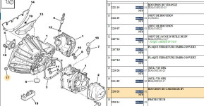 Gearbox plug