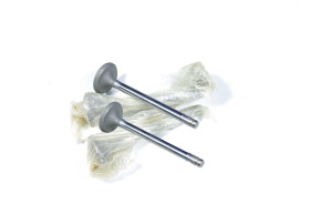 Set of 4 exhaust valves