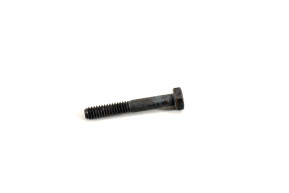 Timing tensioner screw