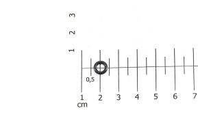 Cylinder head o-ring