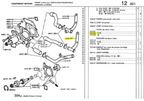 Water pump hose