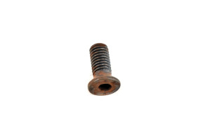 Bvm bearing plate screw