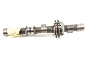 Carburetor exhaust camshaft