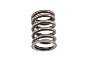 Valve spring int diam 23.9 - l 46