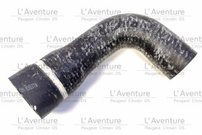 Upper radiator hose