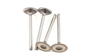 Set of 4 intake valves