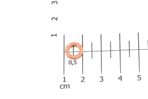 Copper gasket screw bleed