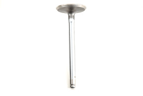 Intake valve