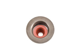 Valve tail seal